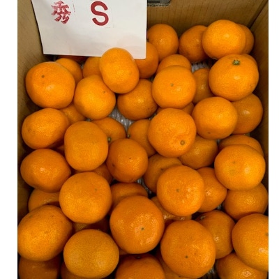 【数量限定】有田みかん　赤秀　S、Мサイズ　10kg　【マルシ農園】