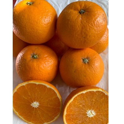 【先行受付】キヨミオレンジ　赤秀品　5kg　サイズ混合(М、L、2Lサイズ)