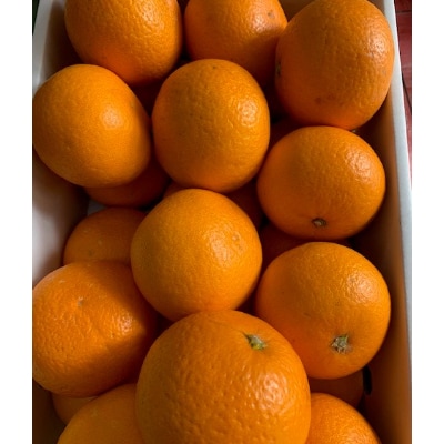 【先行受付】キヨミオレンジ　赤秀品　5kg　サイズ混合(М、L、2Lサイズ)