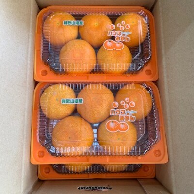 ハウスみかん　パック入り　S、2Sサイズ　6パック【マルシ農園】