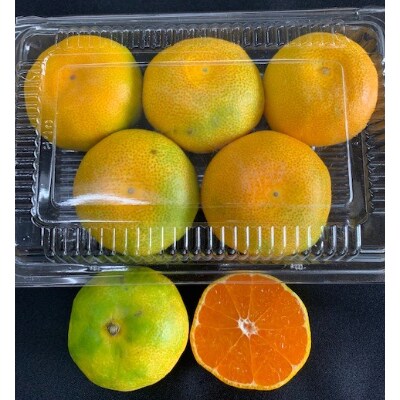 グリーンハウスみかん　パック入り　S、2Sサイズ　6パック【マルシ農園】