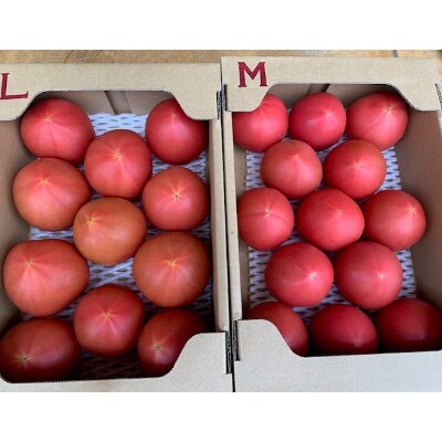 トマト　サイズ混合　約3.5kg　【マルシ農園】