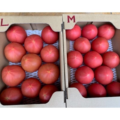 ハウストマト　サイズ混合　約3.5kg　【マルシ農園】