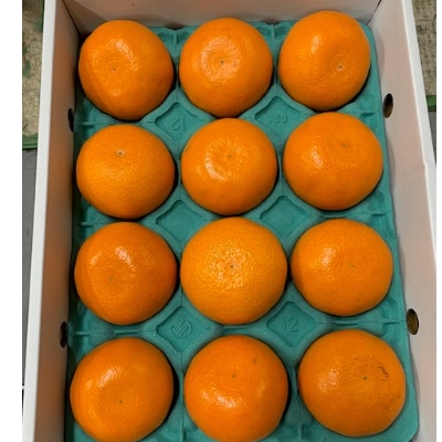 【先行受付】　完熟　せとか　　　　　　　　青秀品　9～15玉　化粧箱　