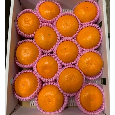 【先行受付】　完熟　せとか　　　　　　　　青秀品　9～15玉　化粧箱　
