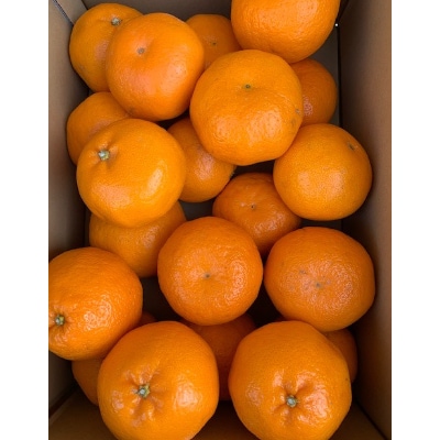【先行受付】　せとか　家庭用　3kg　М～2Lサイズ　混合