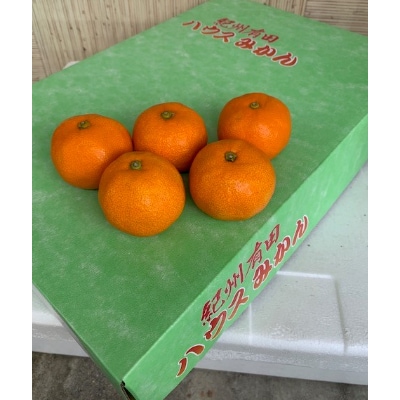 ハウスみかん　赤秀　一段箱　約2.5kg【マルシ農園(有田川町)】
