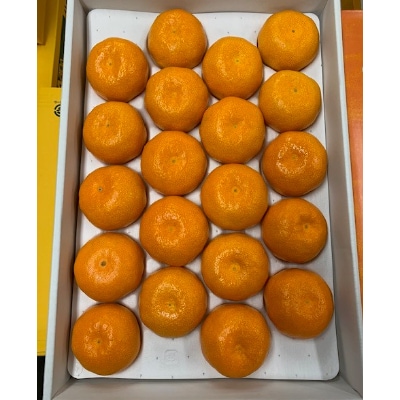 ハウスみかん　赤秀　一段箱　約2.5kg【マルシ農園(有田川町)】