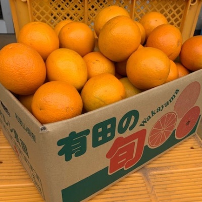 有田のバレンシアオレンジ(5kg)