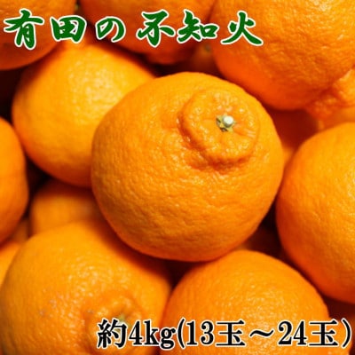 【濃厚春柑橘】有田産不知火約4kg(13玉～24玉おまかせ)　(有田川町)