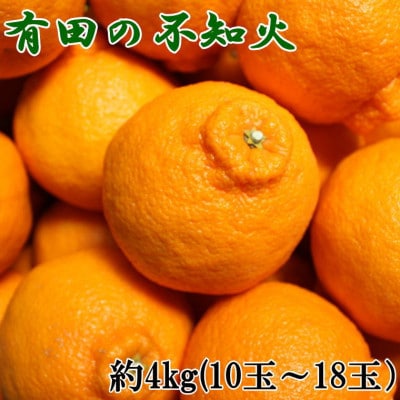 【濃厚春柑橘】有田産不知火約4kg(10玉～18玉おまかせ)　(有田川町)