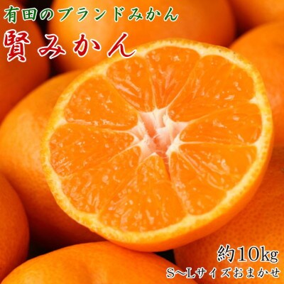 [秀品]和歌山有田ブランド「賢みかん」約10kg(サイズおまかせ)