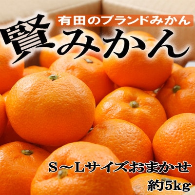 [秀品]和歌山有田ブランド「賢みかん」約5kg(S～Lサイズおまかせ)