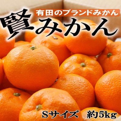 [秀品]和歌山有田ブランド「賢みかん」約5kg(Sサイズ)