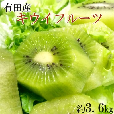 【1月より順次発送】有田でとれた新鮮キウイフルーツ約3.6kg(M～3Lサイズおまかせ)【有田川町】