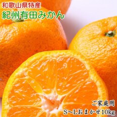 紀州有田みかん約10kg (S～L)サイズおまかせ ご家庭用【有田川町】