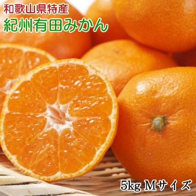 [秀品]和歌山有田みかん約5kg (Mサイズ)(有田川町)