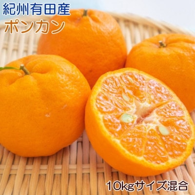 [濃厚・春みかん]和歌山産ポンカン約10kg(サイズ混合)【有田川町】
