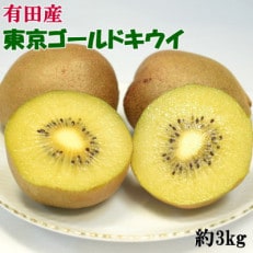 【数量限定】キウイフルーツの新品種「東京ゴールド」約3kg(サイズ混合)