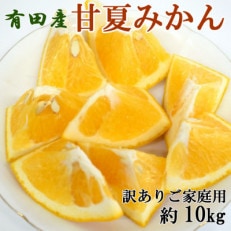 有田産甘夏みかん約10kg(サイズ混合 訳ありご家庭用)