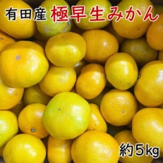 【秀品】有田産極早生みかん約5kg(2S～Lサイズ混合)(有田川町)