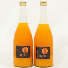 【無添加】田村みかんの新鮮100%ジュース「至極の一滴」720ml&times;2本入り(有田川町)