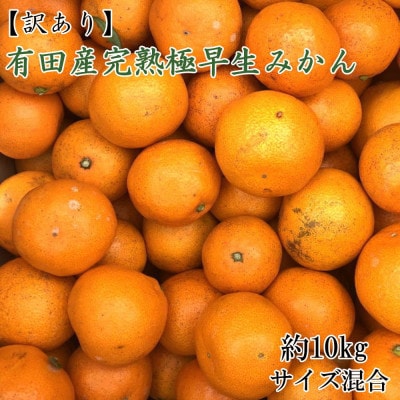 (訳あり)有田産完熟極早生みかん約10kg(サイズ混合)【有田川町】