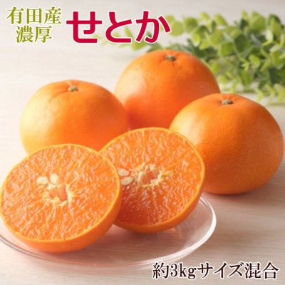 一度は食べていただきたい「有田産のせとか」約3kg(サイズ混合　秀品)(有田川町)