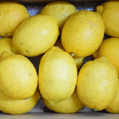 【安心果実】和歌山有田産国産レモン約2kg(サイズ混合)