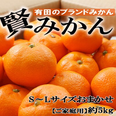 [ご家庭用]有田ブランド「賢みかん」約5kg(S～Lサイズおまかせ)