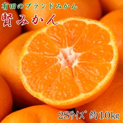 [秀品]和歌山有田ブランド「賢みかん」約10kg(2Sサイズ)