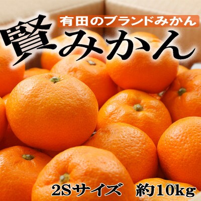 [秀品]和歌山有田ブランド「賢みかん」約10kg(2Sサイズ)