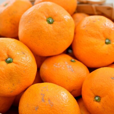 [秀品]紀州有田みかん約3kg(S～Lサイズ混合) (有田川町)