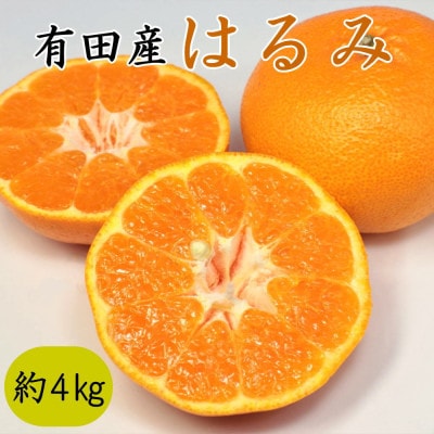 【農園直送】和歌山有田産の濃厚はるみみかん約4kg(サイズ混合)