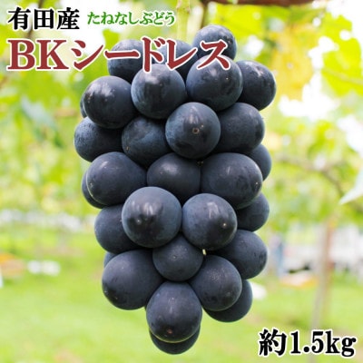[新鮮・産直]和歌山県有田巨峰村の朝採れBKシードレス約1.5kg