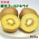 【数量限定】キウイフルーツの新品種「東京ゴールド」約2kg(サイズ混合)