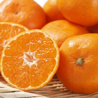 [秀品]和歌山有田みかん約4kg(2Lサイズ)【有田川町】