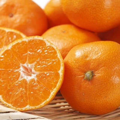 [厳選]紀州有田みかん約5kg (S～Lサイズおまかせ・秀品)【有田川町】