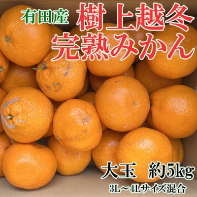 【濃厚・まろやか】有田産樹上越冬完熟みかん大玉約5kg(3L・4Lサイズ　秀優混合品)(有田川町)