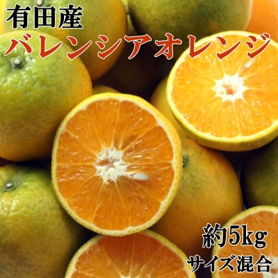【国産】有田産バレンシアオレンジ約5kg(サイズ混合　秀・優品規格)【有田川町】