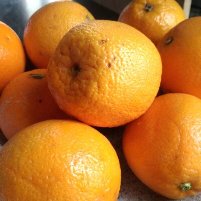 【国産】有田産バレンシアオレンジ約5kg(サイズ混合　秀・優品規格)【有田川町】