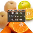 【発送月固定定期便】和歌山有田産の季節の人気フルーツ定期便全3回