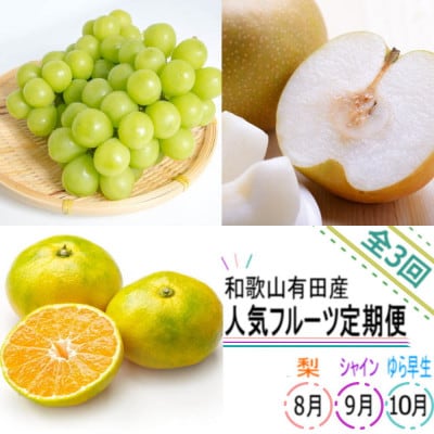 【発送月固定定期便】和歌山有田産の人気フルーツ定期便【梨・シャインマスカット・ゆら早生みかん】全3回
