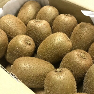 【先行受付】【大人気】農家直送!濃厚キウイフルーツ　約4kg