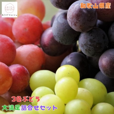 【先行受付・2026年発送】農園直送 3色ぶどう詰め合わせ大満足セット 約4kg