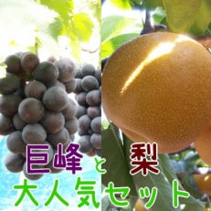 【先行受付】【2023年8月中旬より発送】厳選!和歌山有田の濃厚巨峰と梨 大人気セット