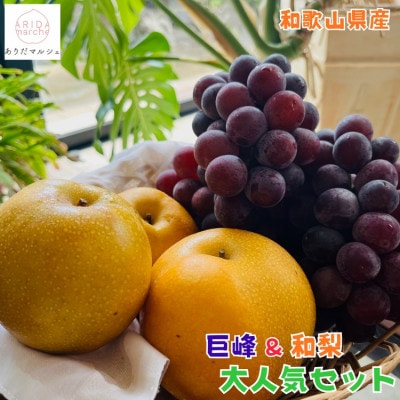 【先行受付・2026年発送】朝採れ巨峰と旬の梨 大人気セット