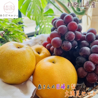 【2025年発送】厳選!和歌山有田の濃厚巨峰と梨 大満足セット