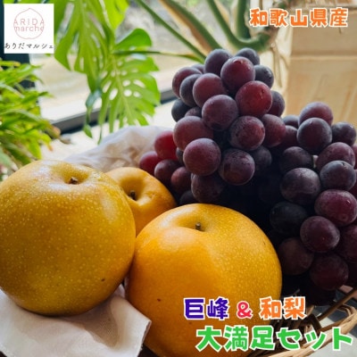 【先行受付・2026年発送】朝採れ巨峰と旬の梨 大満足セット