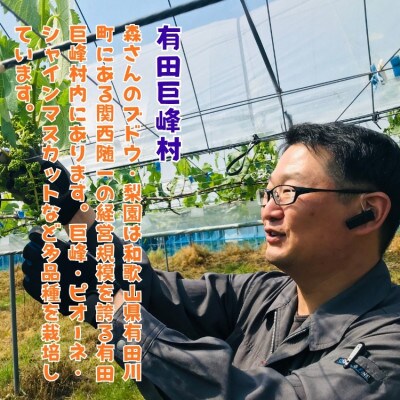 【先行受付・2026年発送】農園直送 朝採れ シャインマスカット 約4kg